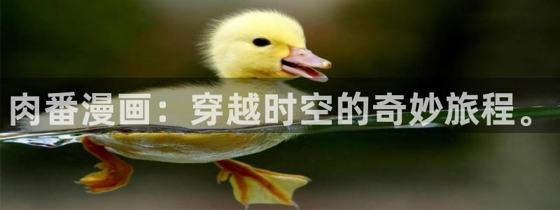 禁漫天堂,在线观看：肉番漫画：穿越时空的奇妙旅程。