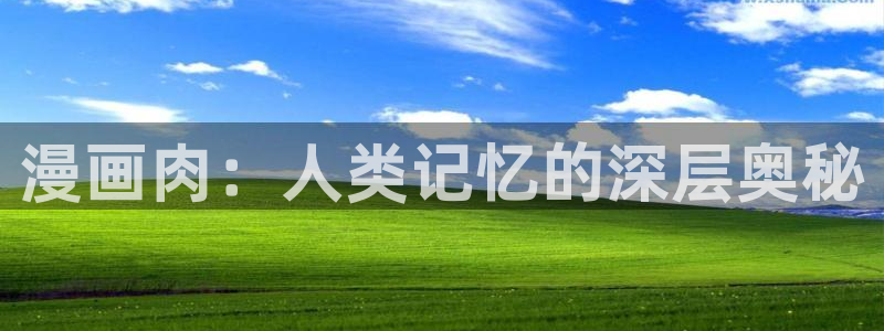 禁漫天堂漫画网在线观看：漫画肉：人类记忆的深层奥秘