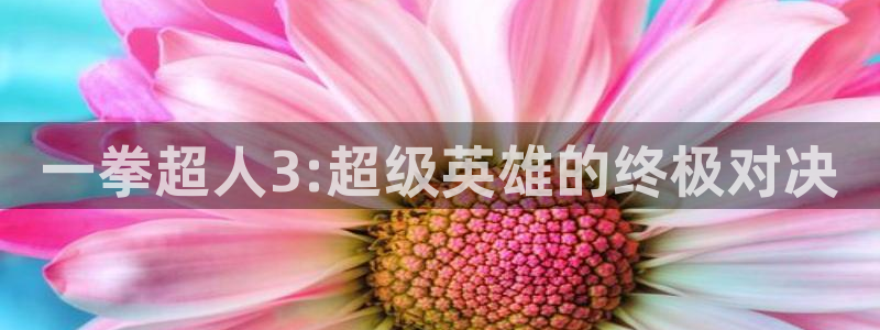 comic禁漫天堂：一拳超人3:超级英雄的终极对决