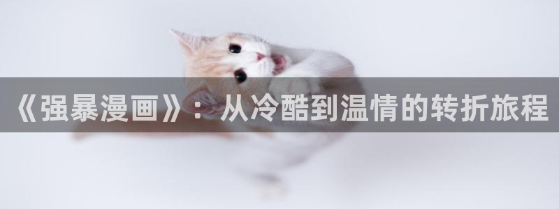 禁漫天堂.：《强暴漫画》：从冷酷到温情的转折旅程